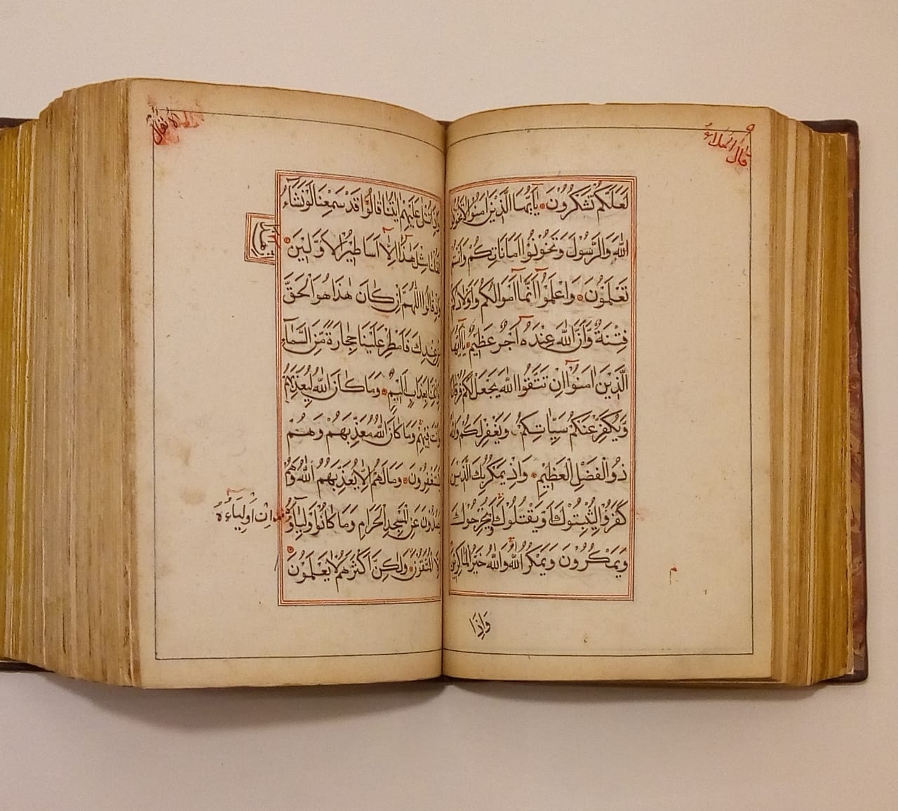 Corán 1770