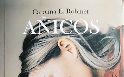 Novela: Añicos